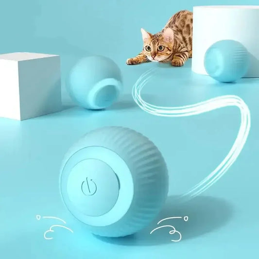 INNOVATIVE Pet Gadgets for Happy Paws Pet's playing Ball Toy rechargeable with USB