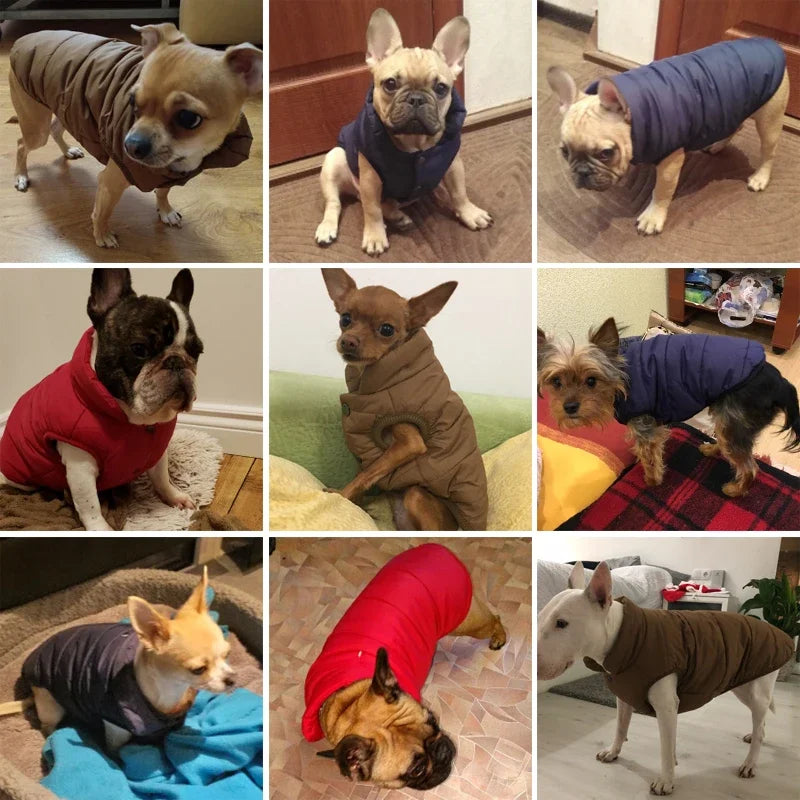 Button Down Vest Jacket for Pets Winter Warm Fleece vest For Small / Medium / Large Pets